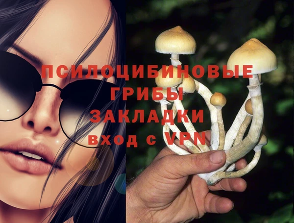 экстази Осташков