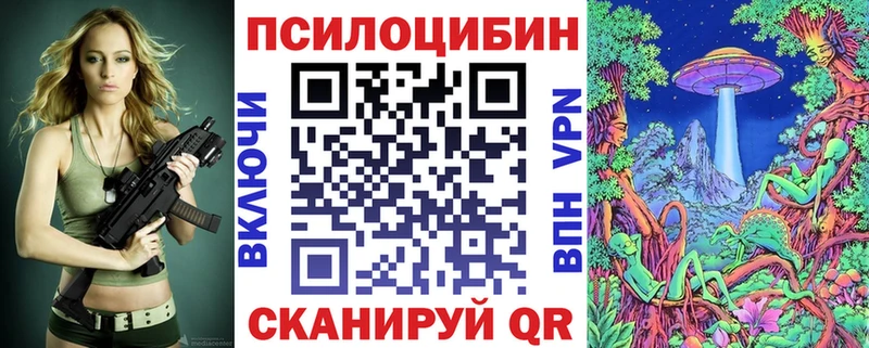 как найти   Луховицы  Псилоцибиновые грибы MAGIC MUSHROOMS 